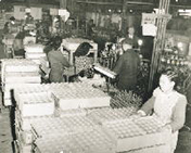 Inside the light bulb factory